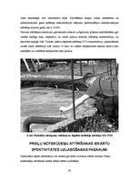 Referāts 'Preiļu notekūdeņu attīrīšanas iekārtu energoefektivitātes paaugstināšana', 36.