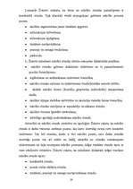 Diplomdarbs 'Kora dziedāšanas iemaņu veidošana sākumskolas skolēniem mūzikas stundās ', 24.