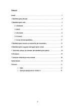 Referāts 'Ekstrēmais sports', 4.