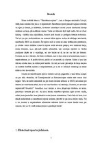 Referāts 'Ekstrēmais sports', 5.