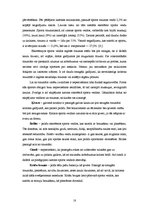 Referāts 'Ekstrēmais sports', 18.