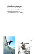 Referāts 'Ekstrēmais sports', 29.