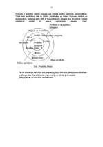 Biznesa plāns 'Karpu audzētava', 15.