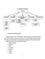 Referāts 'Uzņēmuma veidošana', 7.