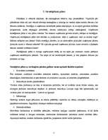 Referāts 'Uzņēmuma veidošana', 11.