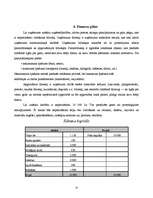 Referāts 'Uzņēmuma veidošana', 14.