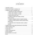 Prakses atskaite 'SIA "X" finanšu analīze', 2.