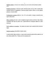 Prakses atskaite 'SIA "X" finanšu analīze', 4.