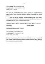 Prakses atskaite 'SIA "X" finanšu analīze', 13.