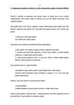 Prakses atskaite 'SIA "X" finanšu analīze', 18.