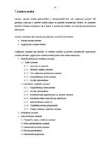 Prakses atskaite 'SIA "X" finanšu analīze', 24.