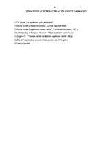 Prakses atskaite 'SIA "X" finanšu analīze', 29.