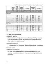 Biznesa plāns 'Viesnīca "Laguna Hotel"', 12.