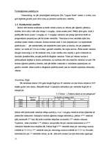 Biznesa plāns 'Viesnīca "Laguna Hotel"', 13.