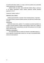 Biznesa plāns 'Viesnīca "Laguna Hotel"', 22.