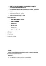 Prakses atskaite 'Prakses atskaite viesmīlībā "Hotel Jūrmala Spa"', 3.