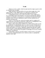 Referāts 'Individuālais komersants', 2.