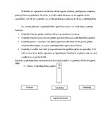 Referāts 'Individuālais komersants', 4.