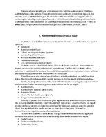 Referāts 'Individuālais komersants', 7.