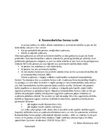Referāts 'Individuālais komersants', 9.