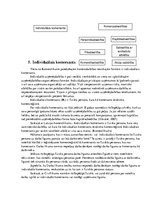 Referāts 'Individuālais komersants', 10.