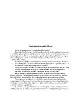 Referāts 'Individuālais komersants', 14.