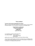 Referāts 'Individuālais komersants', 16.