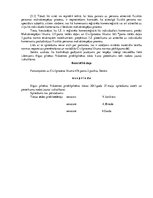 Referāts 'Individuālais komersants', 19.