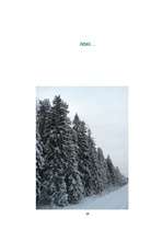 Konspekts 'Egles', 16.