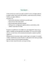 Konspekts 'Egles', 17.