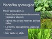 Prezentācija 'Sporaugi: kosu nodalījums', 3.