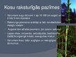 Prezentācija 'Sporaugi: kosu nodalījums', 4.