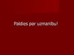Prezentācija 'Kultūras funkcijas. Cilvēks kā kultūras objekts un subjekts', 13.