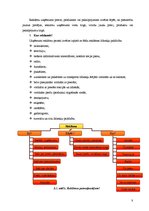 Referāts 'Reklāmas satura un faktiskā izpildījuma novērtējums', 8.