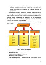 Referāts 'Reklāmas satura un faktiskā izpildījuma novērtējums', 10.