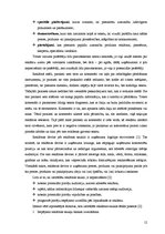 Referāts 'Reklāmas satura un faktiskā izpildījuma novērtējums', 12.