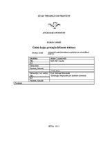 Referāts 'Gaisa kuģu pretapledošanas sistēma', 1.