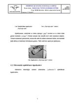 Referāts 'Gaisa kuģu pretapledošanas sistēma', 7.