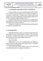 Referāts 'Gaisa kuģu pretapledošanas sistēma', 14.