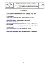 Referāts 'Gaisa kuģu pretapledošanas sistēma', 22.