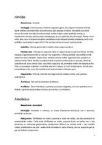 Konspekts 'Medicīniskā parazitoloģija', 3.