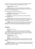 Konspekts 'Medicīniskā parazitoloģija', 6.