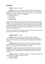 Konspekts 'Medicīniskā parazitoloģija', 9.