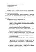 Referāts 'Iekšējā komunikācija uzņēmumā', 7.