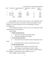 Biznesa plāns 'Autoserviss', 7.