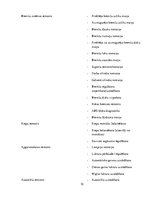 Biznesa plāns 'Autoserviss', 10.