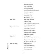 Biznesa plāns 'Autoserviss', 14.