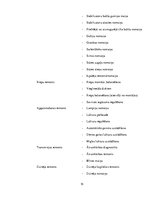 Biznesa plāns 'Autoserviss', 15.