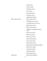 Biznesa plāns 'Autoserviss', 17.