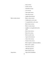 Biznesa plāns 'Autoserviss', 19.